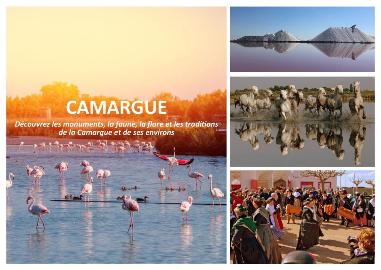 Le Mazet Sooksabai, Confort, Charme Et Decouverte En Petite Camargue Saint-Laurent-dʼAigouze Exterior foto